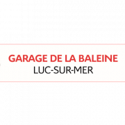Technicien senior futur Chef atelier mécanique GARAGE DE LA BALEINE
