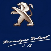 MECANICIEN AUTO balouet dominique